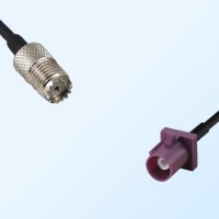 Fakra D 4004 Bordeaux Male - Mini UHF Female Coaxial Cable Assemblies