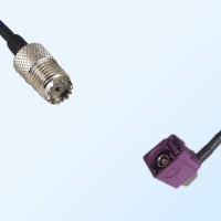 Fakra D 4004 Bordeaux Female R/A - Mini UHF Female Cable Assemblies