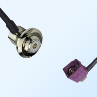 Fakra D Bordeaux Female R/A UHF Bulkhead Female R/A Cable Assemblies