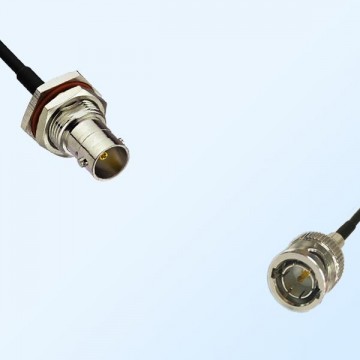 75Ohm BNC Bulkhead Female with O-Ring - BNC Male Cable Assemblies