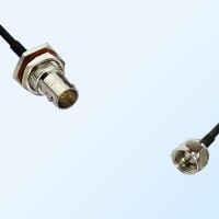 75Ohm BNC Bulkhead Female with O-Ring - F Male Cable Assemblies