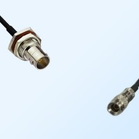 75Ohm BNC Bulkhead Female with O-Ring - 1.0/2.3 DIN Male Cable
