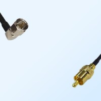 75Ohm F Male Right Angle - RCA Male Jumper Cable