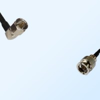 75Ohm Mini BNC Male - F Male Right Angle Cable Assemblies