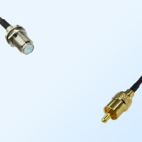 75Ohm F Bulkhead Female - RCA Male Jumper Cable