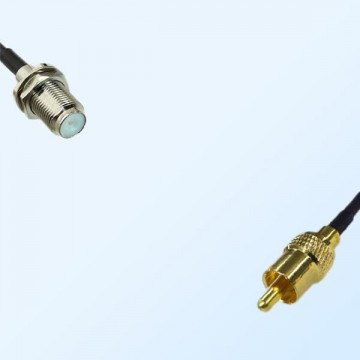 75Ohm F Bulkhead Female - RCA Male Jumper Cable