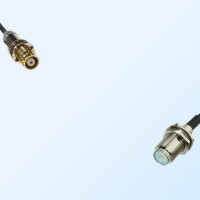 75Ohm 1.6/5.6 DIN Bulkhead Female-F Bulkhead Female Jumper Cable