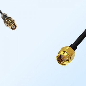 75Ohm 1.6/5.6 DIN Bulkhead Female-SMA Male Jumper Cable