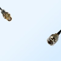 75Ohm Mini BNC Male - 1.6/5.6 DIN Bulkhead Female Cable Assemblies