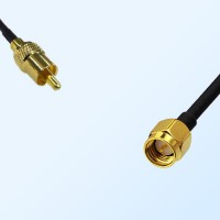 75Ohm RCA Male - SMA Male Jumper Cable