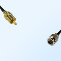 75Ohm Mini BNC Male - RCA Male Cable Assemblies