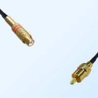75Ohm RCA Female - RCA Male Jumper Cable