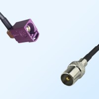 75Ohm Fakra D Female Right Angle - DVB-T TV Male Cable Assemblies
