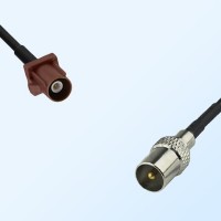 75Ohm Fakra F Male - DVB-T TV Male Cable Assemblies