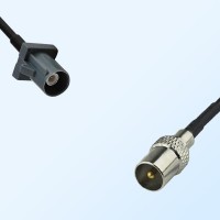 75Ohm Fakra G Male - DVB-T TV Male Cable Assemblies