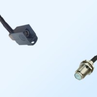 75Ohm Fakra G Female Right Angle - F Bulkhead Female Cable Assemblies