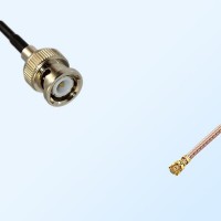 IPEX Female Right Angle - BNC Male Coaxial Cable Assemblies
