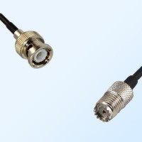 BNC Male - Mini UHF Female Coaxial Cable Assemblies