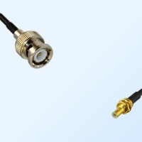 BNC Male - SMB Bulkhead Male Coaxial Cable Assemblies