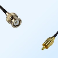 RCA Male - BNC Male Coaxial Cable Assemblies