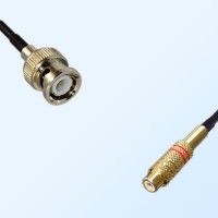RCA Female - BNC Male Coaxial Cable Assemblies