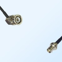 BNC Male R/A - Mini BNC Bulkhead Female Coaxial Cable Assemblies
