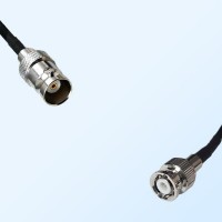 BNC Female - Mini BNC Male Coaxial Cable Assemblies