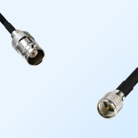 BNC Female - Mini UHF Male Coaxial Cable Assemblies