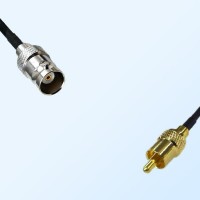 RCA Male - BNC Female Coaxial Cable Assemblies