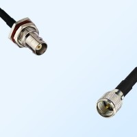 BNC Bulkhead Female with O-Ring - Mini UHF Male Cable Assemblies