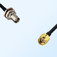 BNC Bulkhead Female with O-Ring - RP SMA Male Coaxial Cable Assemblies