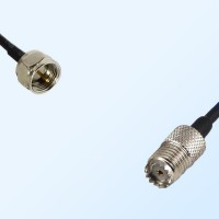 F Male - Mini UHF Female Coaxial Jumper Cable