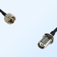 F Male - Mini UHF Bulkhead Female Coaxial Jumper Cable