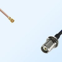 IPEX Female R/A - Mini UHF Bulkhead Female Coaxial Cable Assemblies