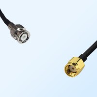 RP SMA/Male - Mini BNC/Male Coaxial Jumper Cable
