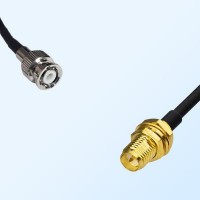 RP SMA/Bulkhead Female - Mini BNC/Male Coaxial Jumper Cable