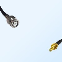 SMB/Bulkhead Male - Mini BNC/Male Coaxial Jumper Cable