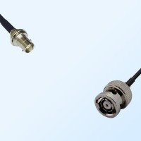 RP BNC/Male - Mini BNC/Bulkhead Female Coaxial Jumper Cable