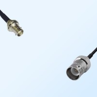RP BNC/Female - Mini BNC/Bulkhead Female Coaxial Jumper Cable
