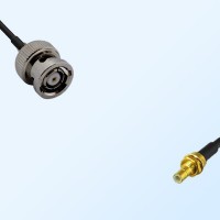 RP BNC/Male - SMB/Bulkhead Male Coaxial Jumper Cable