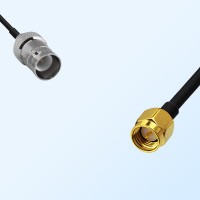 RP BNC/Female - SMA/Male Coaxial Jumper Cable