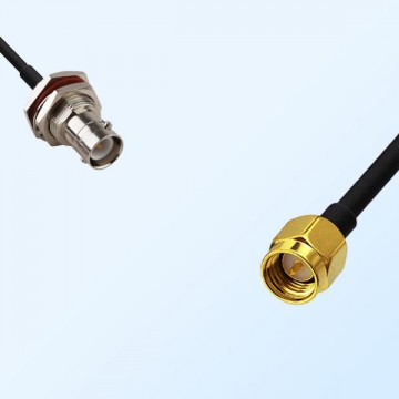 RP BNC/Bulkhead Female with O-Ring - SMA/Male Coaxial Jumper Cable